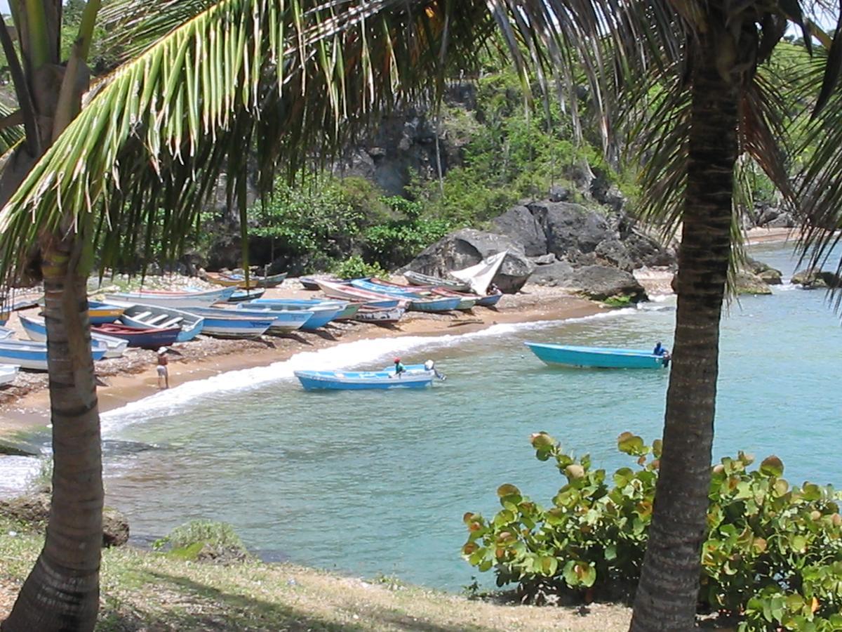 Hotel El Viejo Pirata Boca de Yuma Eksteriør bilde